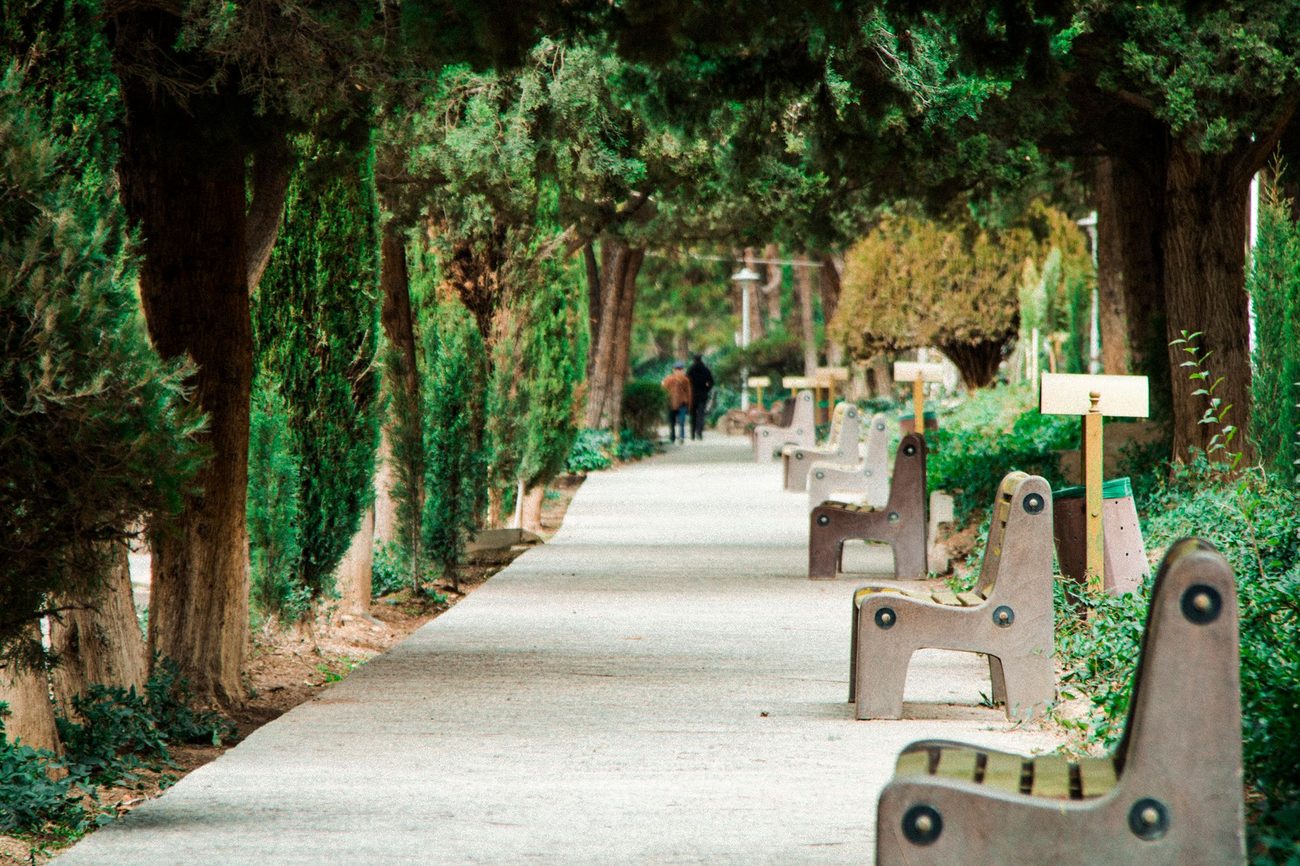 The 20-minute lunch walk that fixed my 2 p.m. slump
